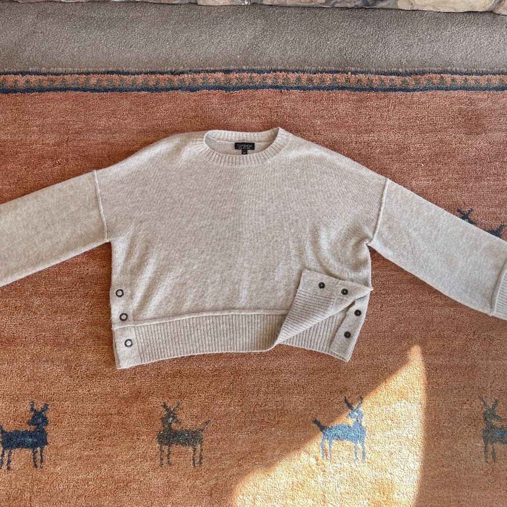 Topshop Mo Seam Detail Popper Sweater